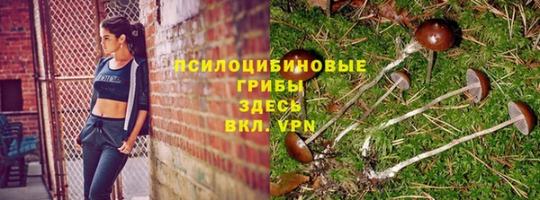 шишки Данков