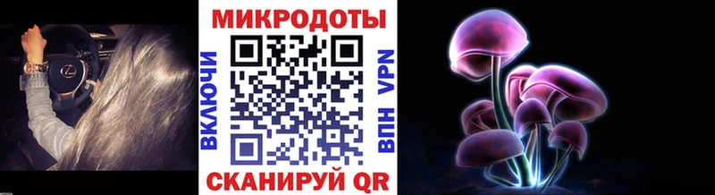хочу Инта ссылка на мегу сайт Псилоцибиновые грибы ЛСД